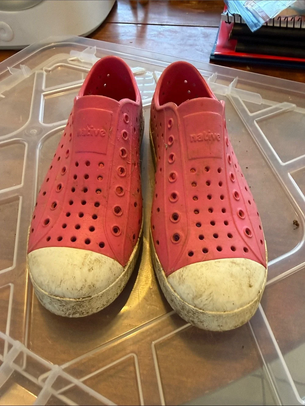 Native Kids Water Shoes in Pink with White Toe Cap